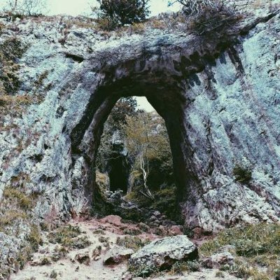 1zHjHDcggv80457's profile picture. カフェ巡り｜カラオケ｜ガーデニング｜写真｜バイク / ゲーム垢