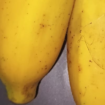 Firelover29's profile picture. Har har Mahadev.

if you abuse India and you are my ENEMY.