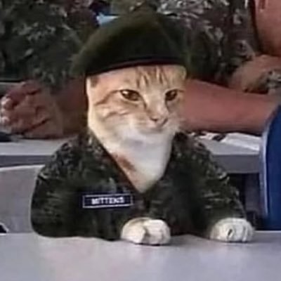 svgus_'s profile picture. Twisted arms and broken knees.