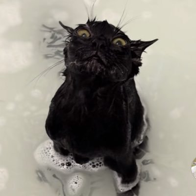 cherrys222_'s profile picture. 