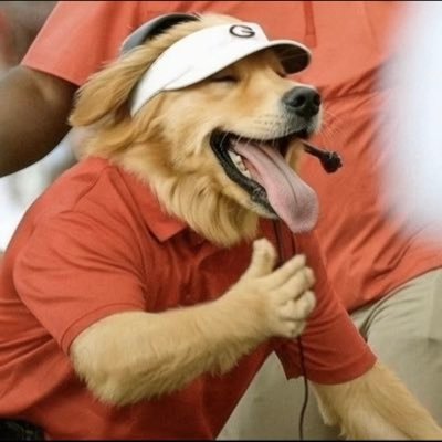 PawsSmiles's profile picture. Powered by coffee and pet hair. 🐕☕ | A place where every cat and dog moment gets the love it deserves ❤️🐾