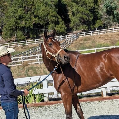 Gucci7917's profile picture. Investment Banking, International Gold Broker, EP Films, Animal Lover, Horse Owner/Breeder and  Philanthropist