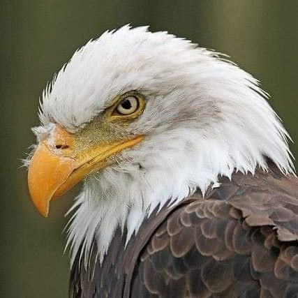 FabioViana53's profile picture. No nome do Senhor Jesus, os demônios se estremecem!!!