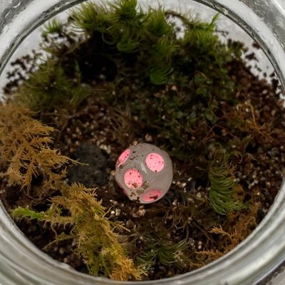 b7Z3bJOmSBOaTDy's profile picture. G 30代凹８凸１兵庫、よろしくお願い致します！！ ！！メス嫌いです！