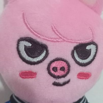 tokkibinlover's profile picture. ♡︎ ₍ᐢᐢ₎ ⋆.˚𓈒࣪  ˖ amnesic; adult; ioi and changbin collector! 110825 changbin notice me x2; 030521, 200722, 010925 somi;  181224 ×3 lee know  ִֶָ  ࣪ ៹