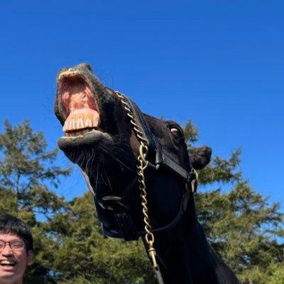 ItonamiHorse's profile picture. 競馬好き。推し馬→テイエムスパーダ、ロンドンプラン、キャンディード。スタホ4は超初心者。アイコンはキンシャサノキセキです。