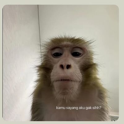 srya808's profile picture. 