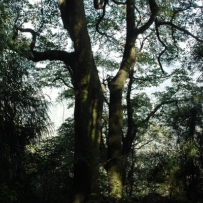 YuanSC11's profile picture. 美國新聞 國際新聞 旅遊 汽車文化