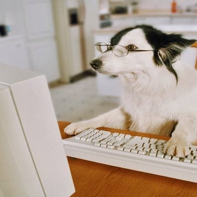 1senz_'s profile picture. lft