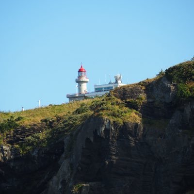 guozi61606's profile picture. 