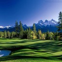 Calvin  Watts - @Cwatts181 - Twitter