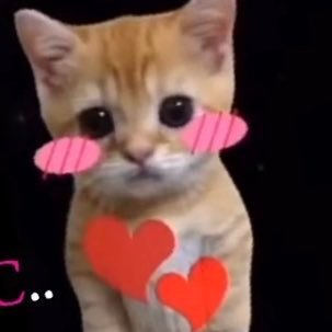 ttdamaviz's profile picture. 