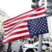 Brown7603680639's profile picture. 