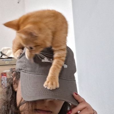 hwastjames's profile picture. ela/dela - eng/pt