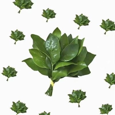 01Overthin57080's profile picture. 