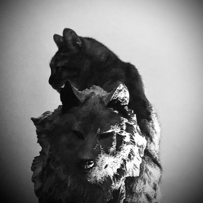 AtilaGokdogan's profile picture. “Çoklar diye korkmadık, azız diye çekinmedik. Düşmanlarımız etrafımızda ocak gibiydi, biz de ateş idik “