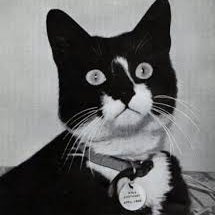 AlbLeVert's profile picture. Anciennement Albert le Ver
Observateur de manipulations politiques et humaines et détricoteur de théories du complot.  
AntiQ.
AntiZ.
#StandWithUkraine.