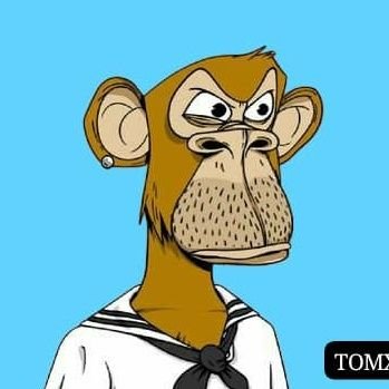 tom_x24's profile picture. NFT || Promoter - Amazing Giveaways - DM to promote yout collection - #SOL #BTC #ETH #XRP #BNB