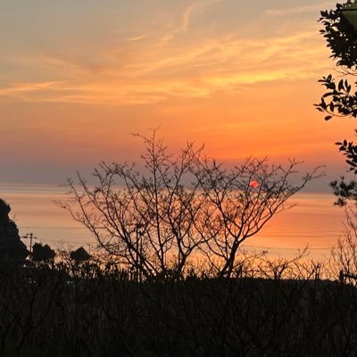 BywSksJq3T13336's profile picture. 