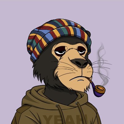 vladimi08723014's profile picture. 