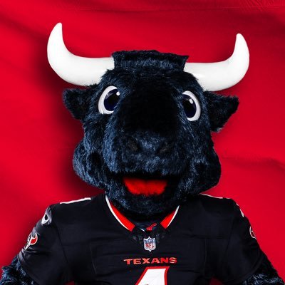 TexansTORO1's profile picture. 