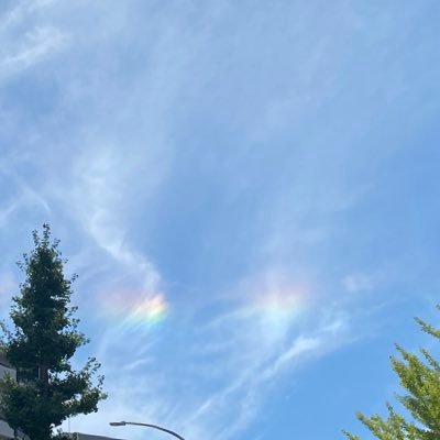 k0n0o6's profile picture. 