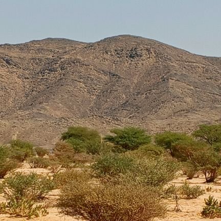 bf_ffg68010's profile picture. 