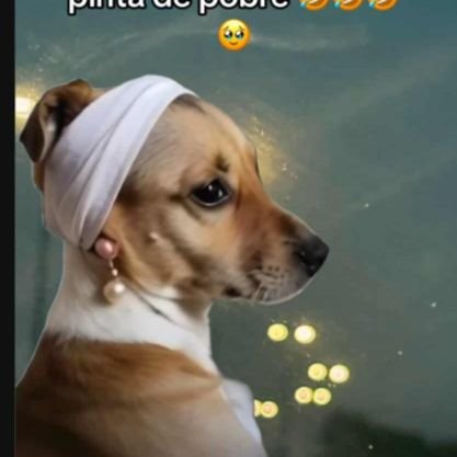 HernandezM83557's profile picture. Se necesita tan poco para ser feliz. 🥰
 Una sonrisa ☺️ Una flor 🥀 Un abrazo 🫂 Un te amo♥️ y sabiduría, para realizar lo valioso de estas cosas...✍️
 😊🥀🫂♥️