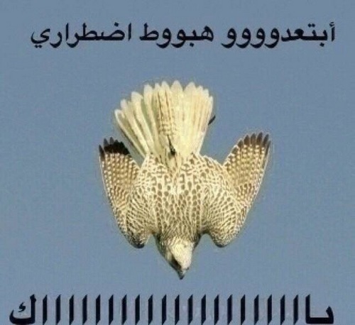 2428 التواصل على الرقم التالي ..