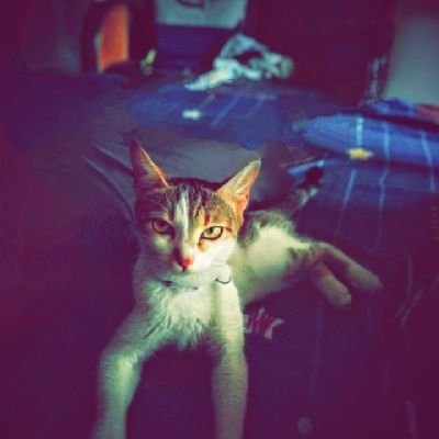 Bigkreshx's profile picture. Soccer punter
Social media influencer