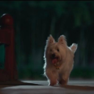 emfkakejrwlf's profile picture. 나는진짜사랑얘기가왤케좋을까.............