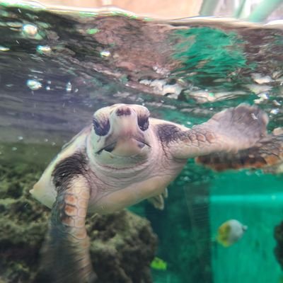 EIJI89776829's profile picture. 