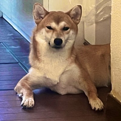 chan0830011's profile picture. ハマっちまったな〜〜SnowManに 阿部ちゃんかわいいな〜〜〜