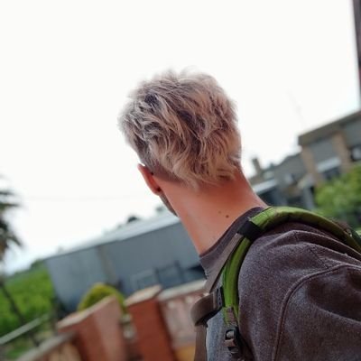 berniiidegen's profile picture. Lore in the trench.