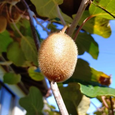 komattatokihama's profile picture. 子どもたちやご家族向けの情報、お薦めの各種研修会、教室、講演、イベント、ニュース等を紹介しています。静岡県西部や浜松市中心。
学校不適応、不登校、引きこもり、非行、いじめ、学習の遅れ、子育ての不安、家族の問題、発達障害等