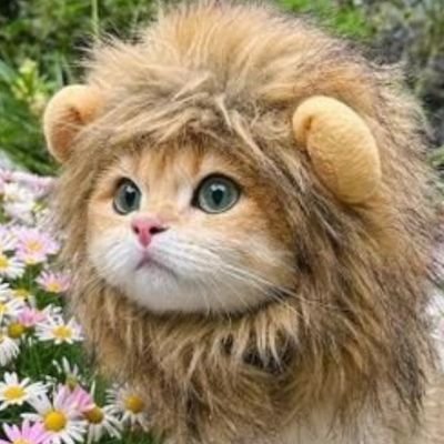 leoleo3521's profile picture. 