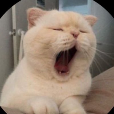 0opsk25's profile picture. 