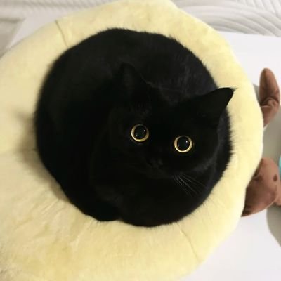 ikancapungku's profile picture. JOIN FREE GRUP preview Mimin Baru 2.3
 ❤️‍🔥📣📣
 
UTAMA
https://t.co/3wN2DzvMap   .

CADANGAN
https://t.co/U6kpEw9dh0