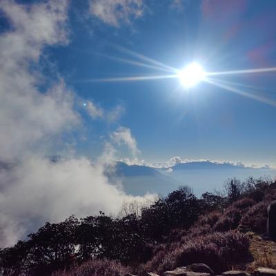 sluggishslugh's profile picture. luceo non uro