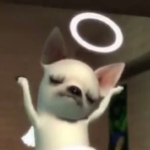 side_Mountain00's profile picture. MBTI:FUCK