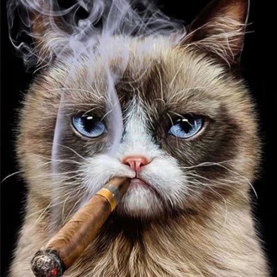 TahirR57776's profile picture. 