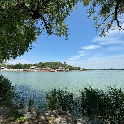 hongshuo140's profile picture. 