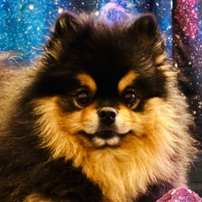 murica_yeeyee's profile picture. American, Army Veteran, MAGA - Investor 🇺🇸🙂🇺🇸🤘🇺🇸🙌🇺🇸😂🇺🇸