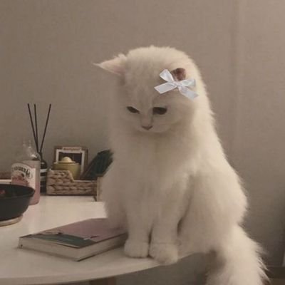 Powr_Asrar15's profile picture. باور وَطَن...والوَطَن لا يُخان✊👑.