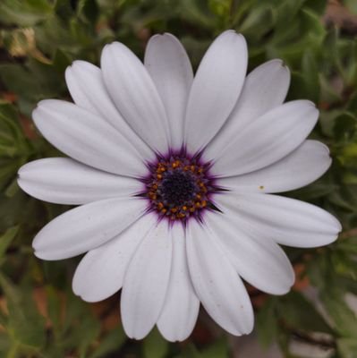 BlancaVaMa's profile picture. «Nadie lo sabe todo, nadie lo ignora todo.
  Todos sabemos algo, todos ignoramos algo.»
Paulo Freire
«Cuénteme cómo lo puedo ayudar» Anónimo