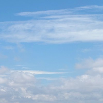 sir_majeid's profile picture. Sassy