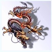 yoootea's profile picture. 实用主义万岁，民族主义万岁