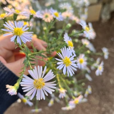 Ben_amedli21's profile picture. Çikaş dişewite ukas şîn dibe#AMED