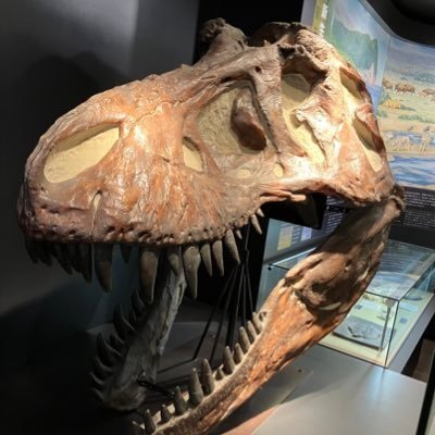 Fossil_Ral's profile picture. 博物館・水族館巡りが趣味です。恐竜/魚/鯨類が好き ガチャガチャ収集家 最近は3Dプリンターで化石を出力するのにハマり中