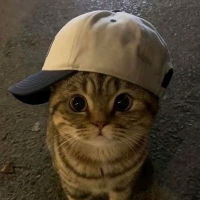 sydneyyy_janeee's profile picture. 🤍